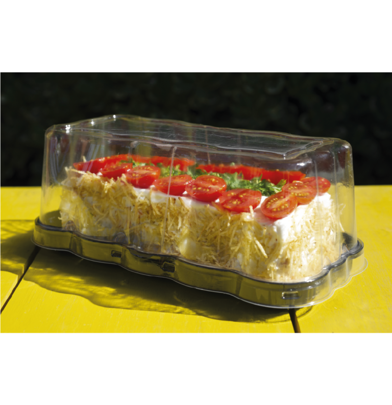 G 61FA/100CJ – TORTA CATARINA – ALTA FLOWER PRET GALVANOTEK CÓD: 13691