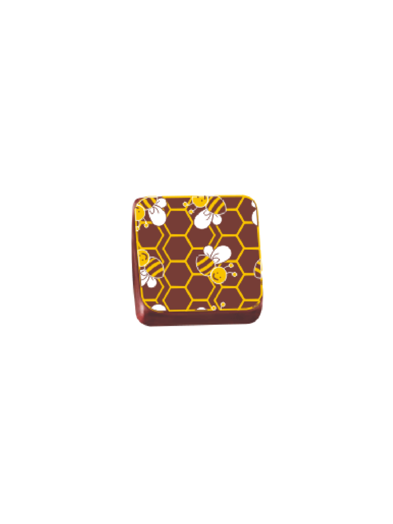 TRANSFER 29X39 TRG 8032 04 AM – ABELHA 1UN CÓD: 00500