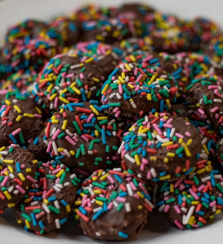 BISCOITO CHOCOFESTA 2KG PANE CÓD: 13467